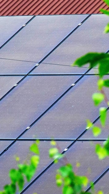 A close-up of solar panels on a rooftop, reflecting the sky, with lush green trees in the background, capturing the essence of eco-friendly living.