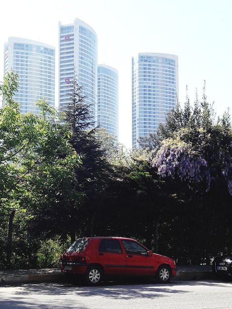 ¿Seguros de Crédito Automotriz en CO: Obligatorios en 2025?