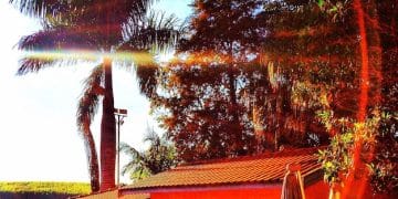 Nuevas políticas VIS 2025: Impulso a la vivienda rural en Colombia - Cover Image